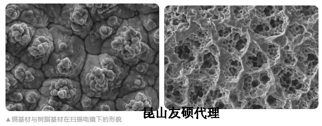 宁德蔡司宁德扫描电镜